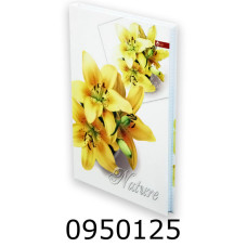 Канц. книга 176 арк. тв. обкл. офсет. Скат (4) ТП-10