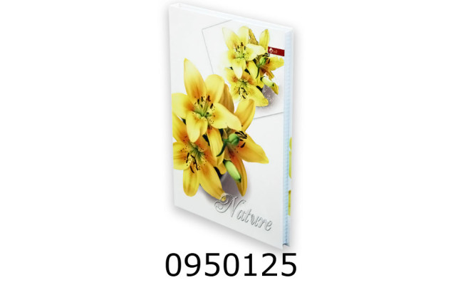 Канц. книга 176 арк. тв. обкл. офсет. Скат (4) ТП-10