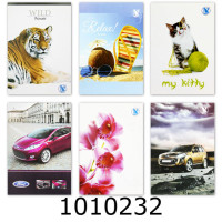 Блокнот А6 32 арк. скоба офсет. Navigator (40) 70502-NV У