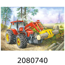 Пазли 60 ел. Castorland 