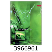 Канц. книга 192 арк.тв. обкл. офсет. Скат (4) ТП-28