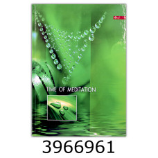 Канц. книга 192 арк.тв. обкл. офсет. Скат (4) ТП-28