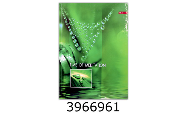 Канц. книга 192 арк.тв. обкл. офсет. Скат (4) ТП-28