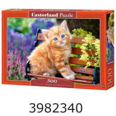 Пазли 500 ел. Castorland 