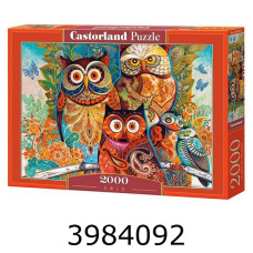 Пазли 2000 ел. Castorland 