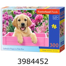 Пазли 300 ел. Castorland 