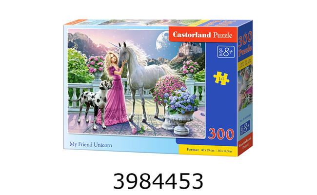 Пазли 300 ел. Castorland 