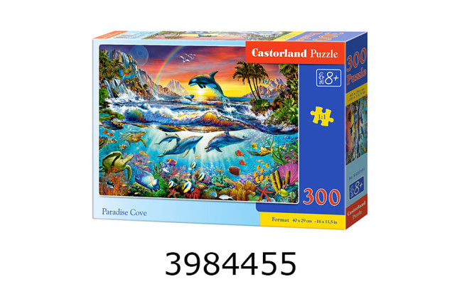 Пазли 300 ел. Castorland 