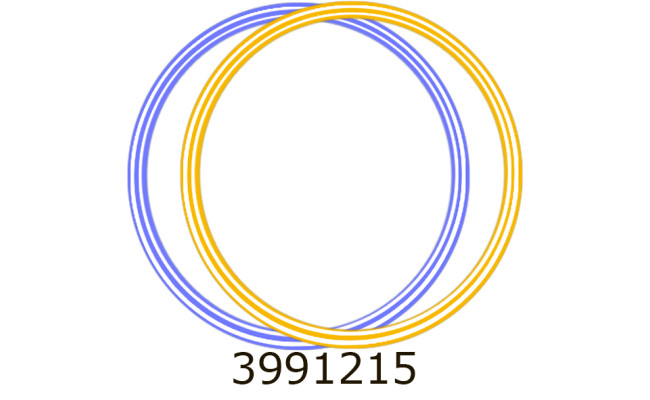 Обруч Зебра 220см. (10) Bamsic 0175