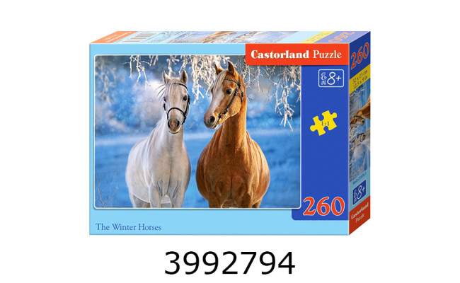 Пазли 260 ел. Castorland 