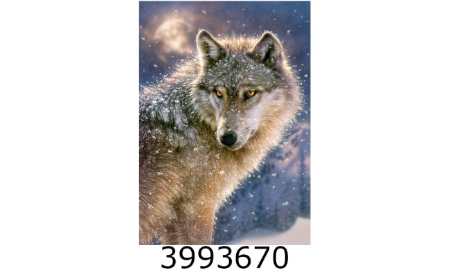 Пазли 500 ел. Castorland 