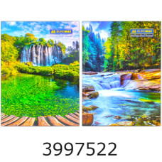 Канц. книга 96 арк. тв.обкл. кл. газ. Buromax 