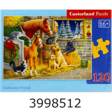 Пазли 120 ел. midi Castorland 