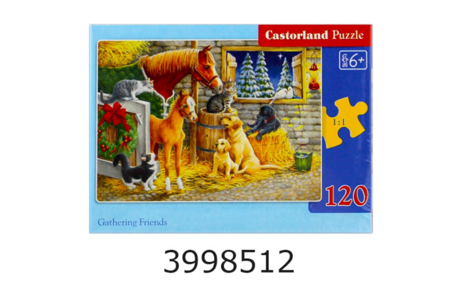 Пазли 120 ел. midi Castorland 