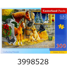 Пазли 300 ел. Castorland 