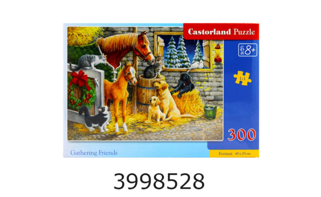 Пазли 300 ел. Castorland 