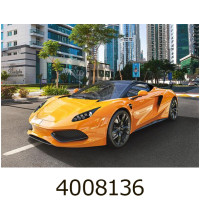 Пазли 100 ел. Castorland  