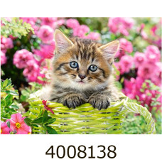 Пазли 100 ел. Castorland  