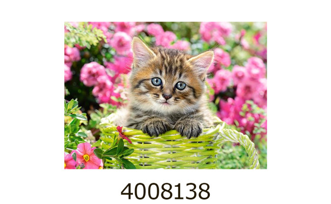 Пазли 100 ел. Castorland  