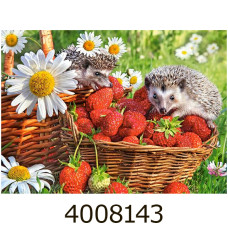 Пазли 200 ел. Castorland  