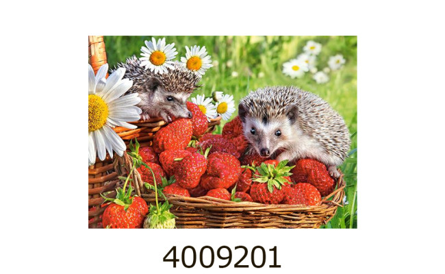 Пазли 260 ел. Castorland 