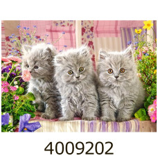 Пазли 260 ел. Castorland 