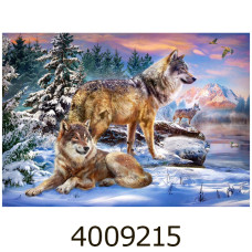 Пазли 500 ел. Castorland 