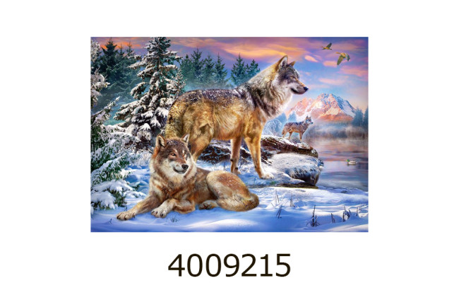 Пазли 500 ел. Castorland 