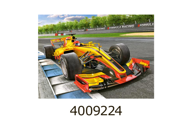 Пазли 300 ел. Castorland 