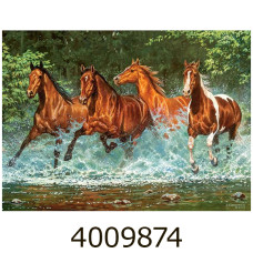 Пазли 300 ел. Castorland 