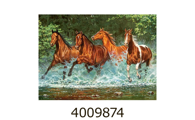 Пазли 300 ел. Castorland 