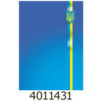 Канц. книга 96 арк. тв. лам. обкл. кл. офсет. Buromax (8) BM.2400-38 Канц. книга 96 арк. тв. лам. обкл. кл. офсет. Buromax (8) BM.2400-38