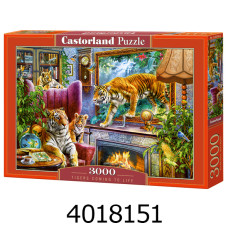 Пазли 3000 ел. Castorland 
