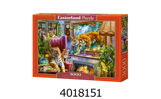 Пазли 3000 ел. Castorland 