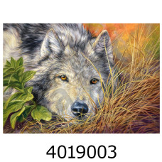 Пазли 500 ел. Castorland 