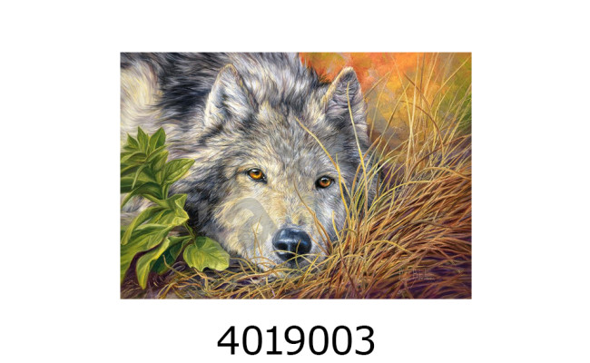 Пазли 500 ел. Castorland 