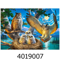 Пазли 500 ел. Castorland 