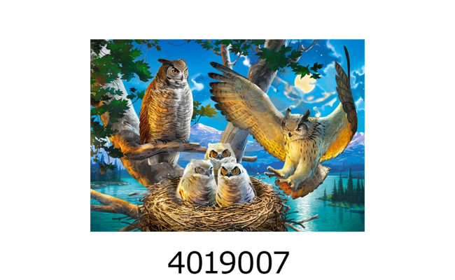 Пазли 500 ел. Castorland 