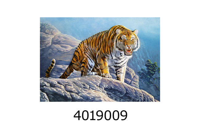 Пазли 500 ел. Castorland 