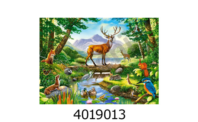 Пазли 300 ел. Castorland 