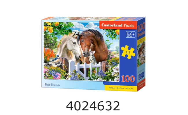 Пазли 100 ел. Castorland  