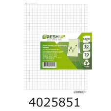 Папір для фліпчарта 64*90см 30арк.Fresh Up клітка FR-30KL