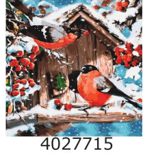 Картина по номерам 40*40см Тварини птахи 