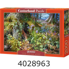 Пазли 2000 ел. Castorland 