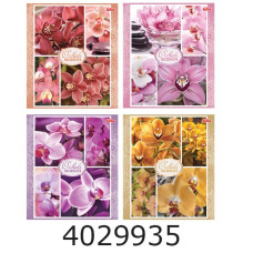 Зошит шк. 96 арк. кл. Мрії збуваються Зошит шк. 96 арк. кл. Мрії збуваються