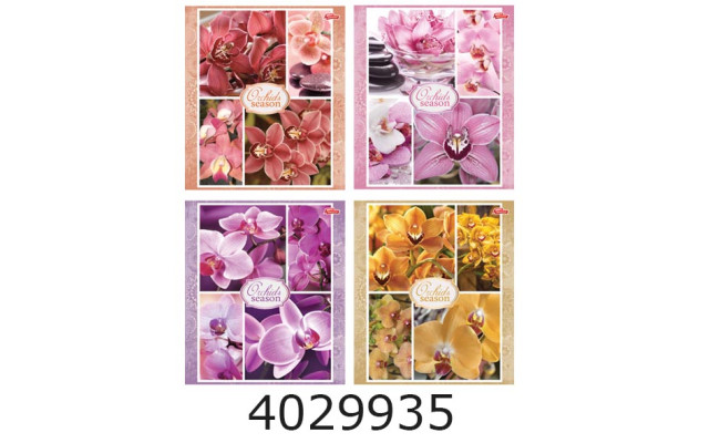 Зошит шк. 96 арк. кл. Мрії збуваються 