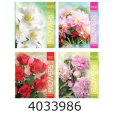 Зошит шк. 96 арк. кл. Мрії збуваються 