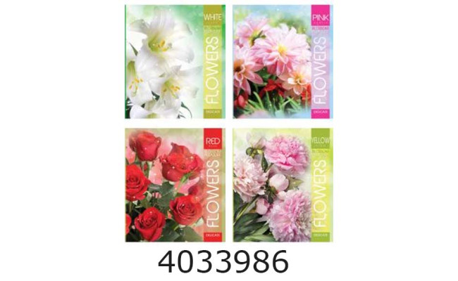 Зошит шк. 96 арк. кл. Мрії збуваються 