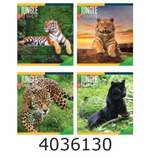 Зошит шк. 96 арк. кл. Мрії збуваються 