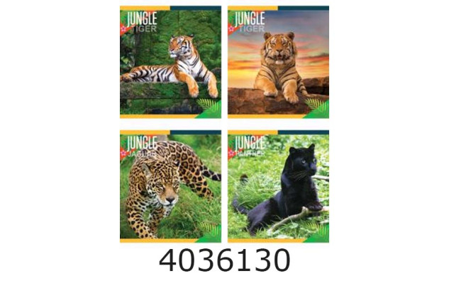 Зошит шк. 96 арк. кл. Мрії збуваються 